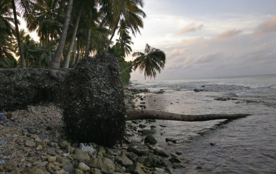 Fuvahmulaku thoshilumuge bodu mashroou 300 million rufiyaa ah MT Højgaard aa havaalu kuranee