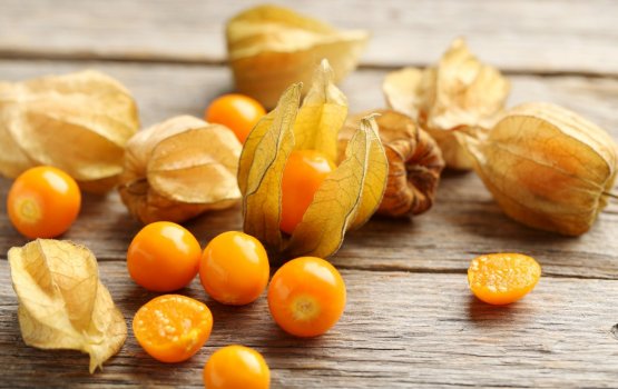 Kudairu muravaki key iru ein libey faidhaathah engeytha?