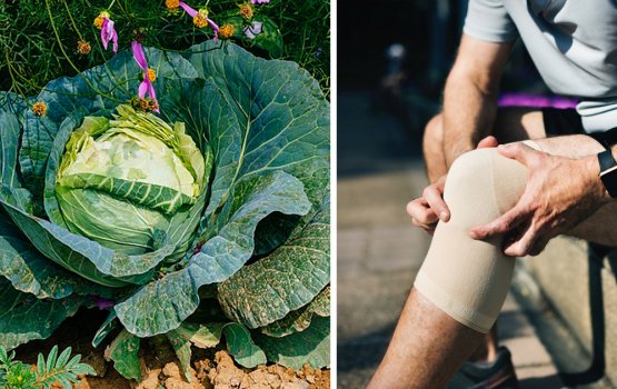 Hulhu hulhuge rihumah cabbagege faruvaa vareh nei!