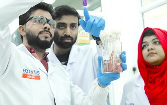 Ensis ge masverikamuge kaamiyaabu dhathuru