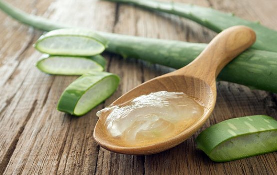 Aloe vera: Faidhaa libenee enme gothakah noon!