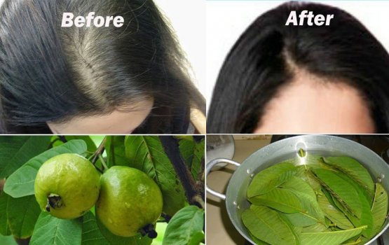 Varugadha isthashigandakah feyru faiy vareh nei!