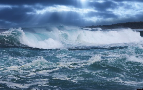 Hageegee vaahaka: 26 December