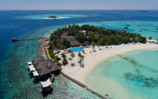 Maafushivaru resort 400,000 rufiyaa in jurimanaa koffi