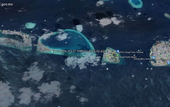 Boava nagan feybi zuvaanaa adhives nufeney