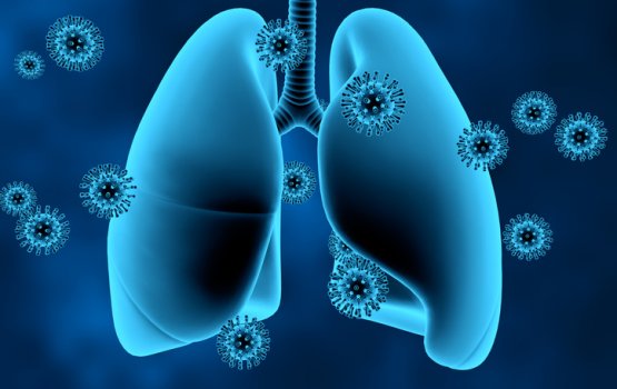 Covid in rangalhu vumah fahu fuhpa meyge masahkaiy rangalhu kureveyne kasrathu thakeh