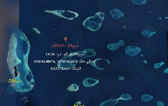 Gellunu fathuruveriyaage hashigandu kanduge adin fenijje