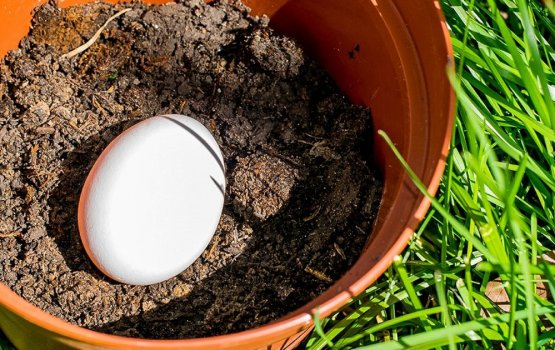 Kukulhu bihakee gas hehdhumah ehee ehkan engeytha?