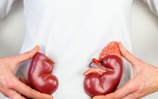 Kidney balin dhuru vumah kurevidhaane dhethin kameh!