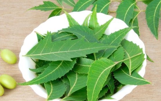 Hithi faiy: Raha hithi viyas natheeja foni vaane!