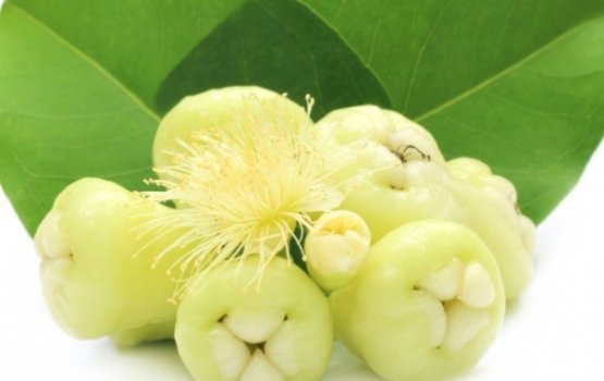 Janburoalu: Gina faidhaa thakeh libey!