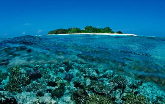 Dhekunuge atholhu thakugai hoonu gadhave faruthah hudhuvumuge biru ebaoi: MMRC