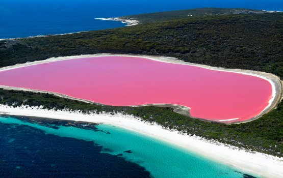 Fiyaathoshi fenganduge vaahaka adu ehin tha?