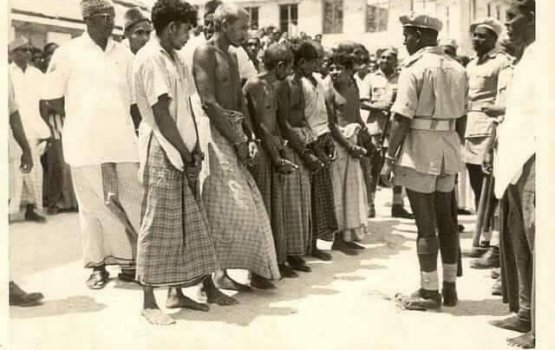 Thinadhoo massala: emme fahun baagheen ghaazeennah, ghaazeen baagheennah?