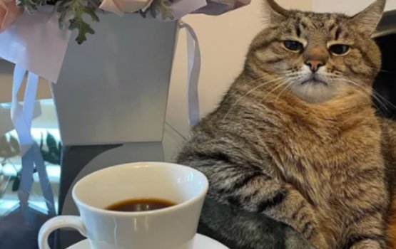 Ukraine gai ulhey janavaarunnah ehee vumah bulhaleh 10,000 dollars ehkohfi