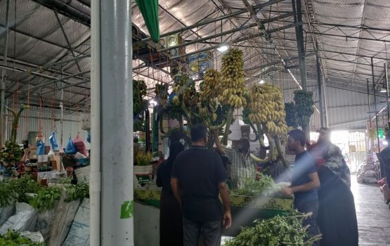 Roadha mahaa dhimaa kon thaketheege agu thah inthihaa ah mahchah