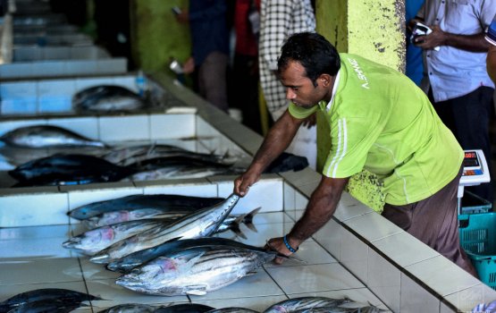 Mas maarukeyt ge corruption ge massala ACC in balanee