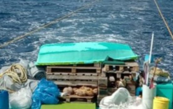 Dingee eh gelligen fuluhun hoadhan fashaifi