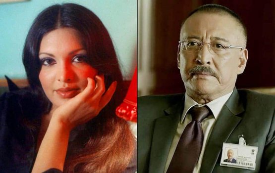 Loabiveriya govaigen geyah dhaairu Parveen innanee geygai: Danny