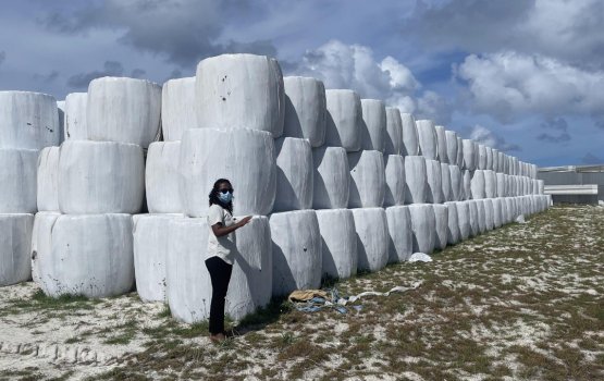 Thilafushi kuni manage kurumuge masaikah minister Shauna ballavalavvaifi