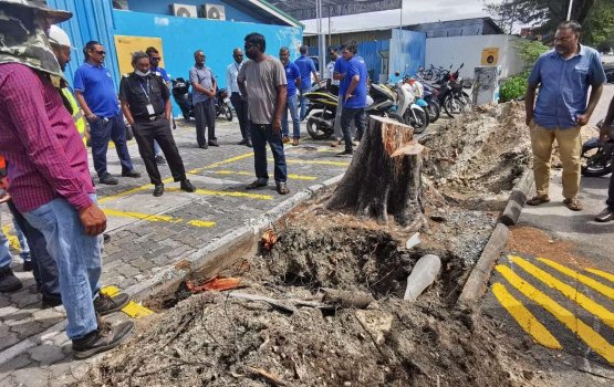 UPDATED: Greater male' interconnection grid operation ah genes alun karantu dheefi