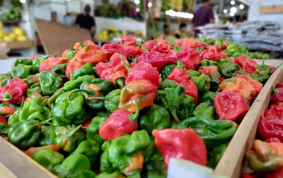 Maarukeytugai vikkaa thaketheege agu dhashah!