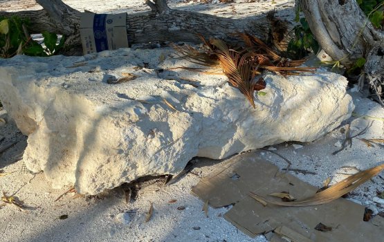 Hudhdha nuhoadhaa rujjehera heylhifashun velinagaa aanugandu halaaku kolli massala balany