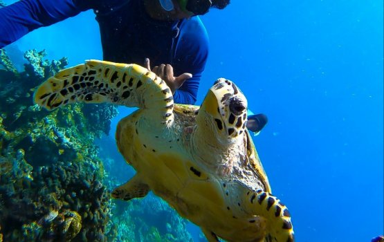 Shiyan: Kandu adeege mussandhikan dhuniye ah dhahkai dhinumugai