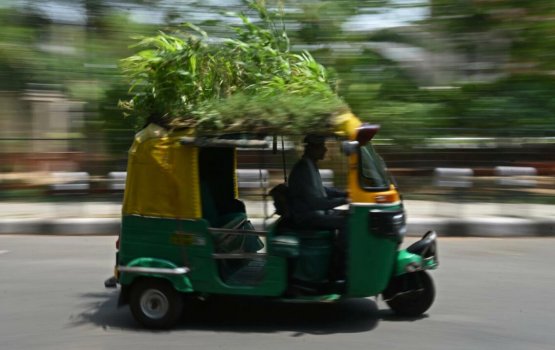 Kurolhi ehge furaalhugai maa bageecha eh, sababy varah thafaathu!
