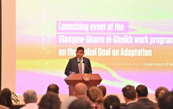 Moosumah anna badhaluthakah fiyavalhu naalhaifi nama nurakkaa bodu: Naibu Raees 