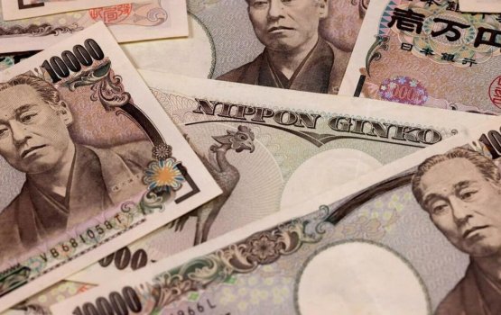 Olhigen faisaa ge ehee dhevunu massala ehgai meehaku hayyaru kohfi