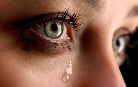 Lolun fen annaneetha? Mi kankan kohlaa!