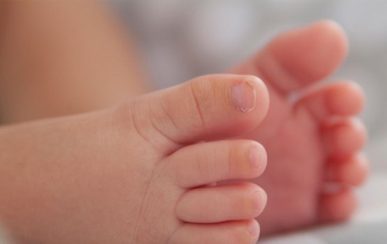 Anhenakah eyna vihei dharifulhaa bahdhaluvee 3 aharu fahun!