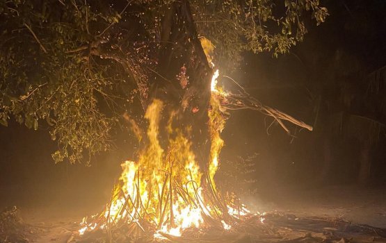 Nilandhoo miskitheh kairee huri nika gahehgai roavejje 
