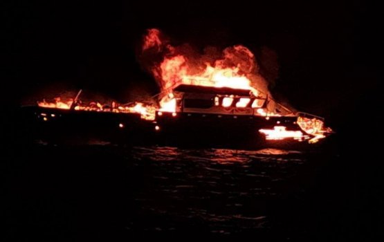 9 meehunnaa eku dhathuru kuri safaari eh gai roa vejje