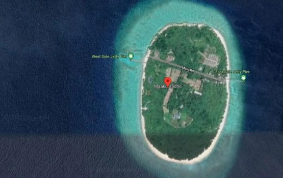 Billoori sheet thakeh dhashuve bidheyseeaku maruvejje