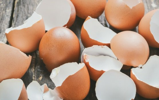 Bis thoshi ehlaa nulaa gina beynun thakeh kurevidhaane!