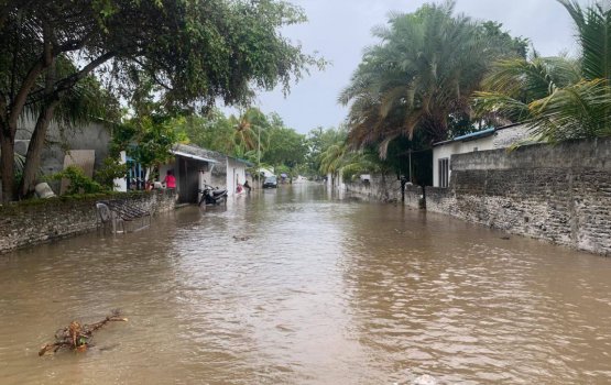 Ebbaivantha kamaa eku gellun libunu meehun ge haalu belumah JP in govaalaifi
