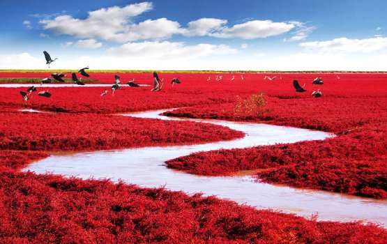 Hudheh noon, mifaharu miothee raiyy kulaige gondudhosheh!