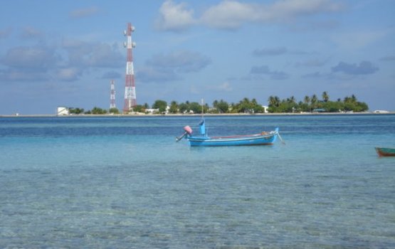 Dhiggaru council ge bi election bavvanee
