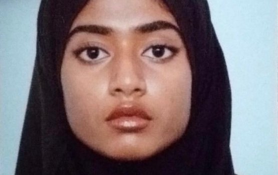 Gelligen hoadhi kujjaa fenijje