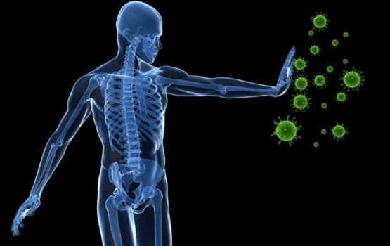 Dhifaaee nizaamah mi maahdhaathah varah muhimmu!