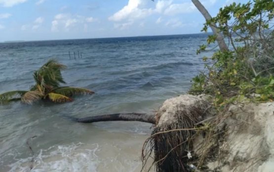  Rahthah girun huttuvumah analystun hoadhanee