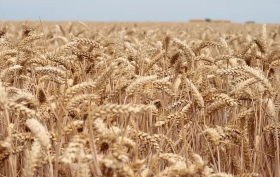 EU in Russia ah elhi dhathi kurumuge fiyavalhu thah lui kuranee