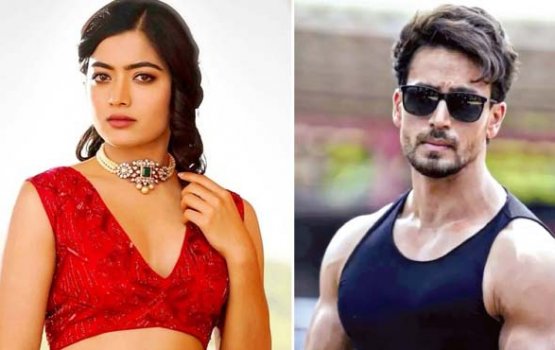 Tiger aai Rashmika ge film shooting september mahu fashanee
