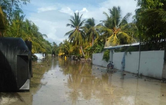 Vissaraigai emmen bodu gellun libuny dhanduverinnah: NDMA