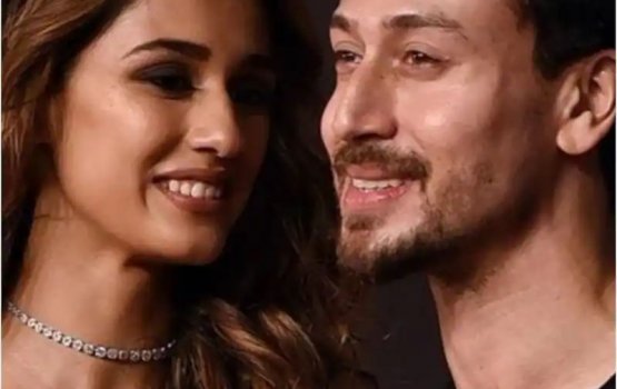 Tiger aai Disha rulhivi sababu haama kohffi