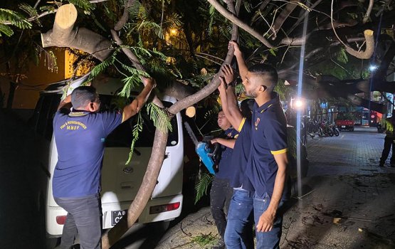 Male gai gaheh vetti 2 geashaai vehicle thaakah gellun vejje