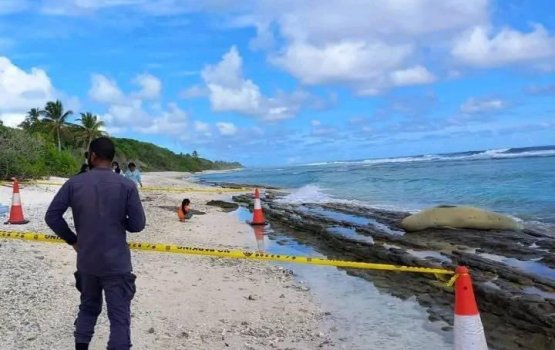 Addu in fenunu seal ah kaan nudheyn council in angaifi