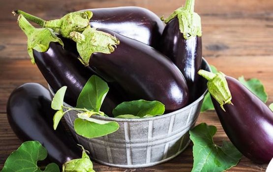 Bashi: Nukai dhoo kohlaane kameh neiy!